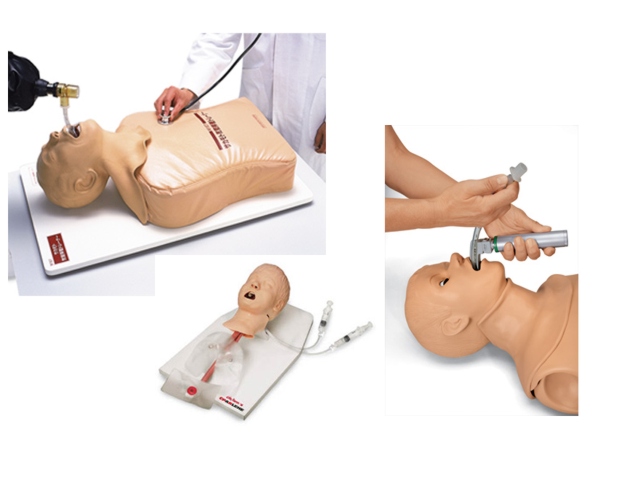 Intubationstrainer / Koniotomietrainer / Tracheostomietrainer