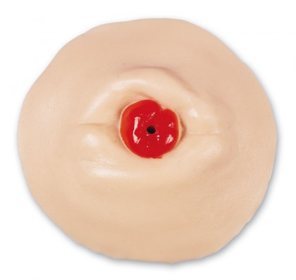 Stoma Trainer Gr��e: 18 x 8 cm, Gewicht: 1,6 kg