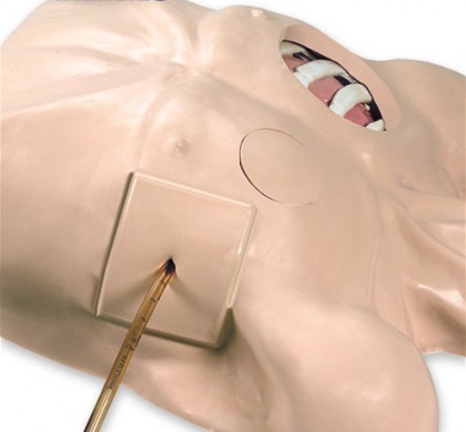"Thoraxdrainage-Simulator"