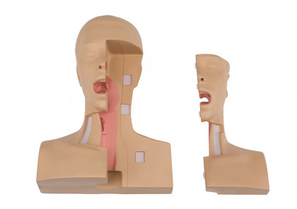 Tracheostomie Management Simulator