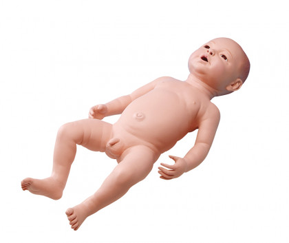 Neugeborenenmodell, mnnlich
