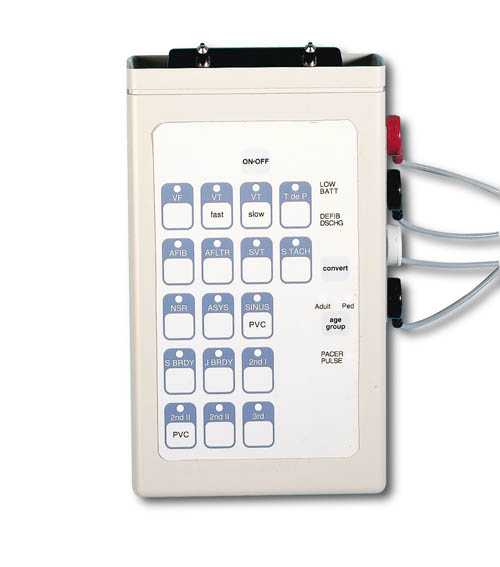 Interaktiver EKG-Simulator fr R10052