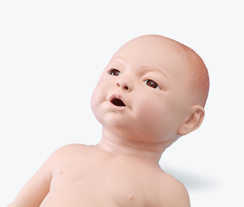 Neugeborenenmodell, männlich